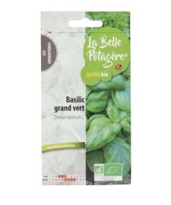 Basilic grand vert BIO, 0,5g